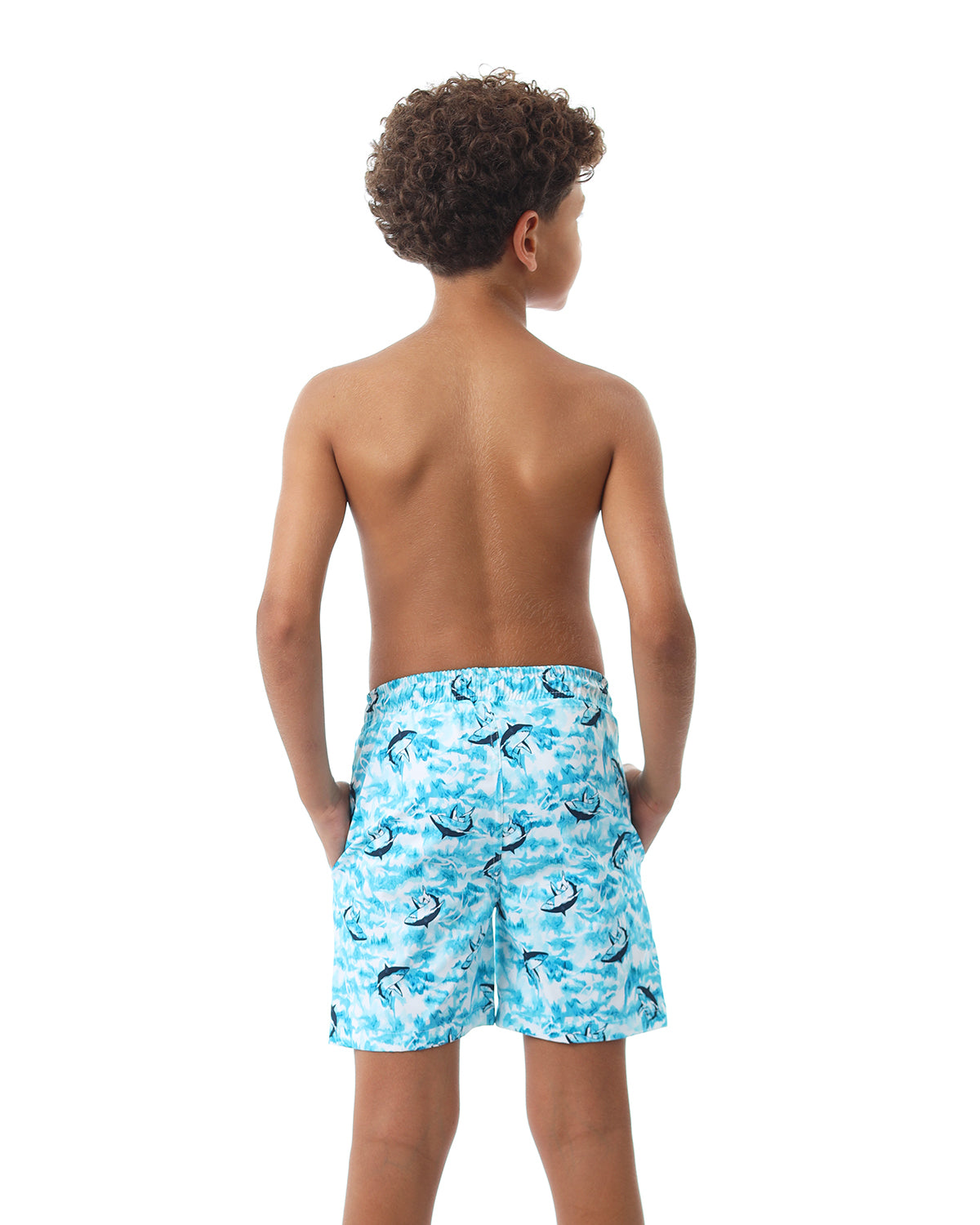 Shark Attack Boy's Aqua Swim Short-Atum -66822389