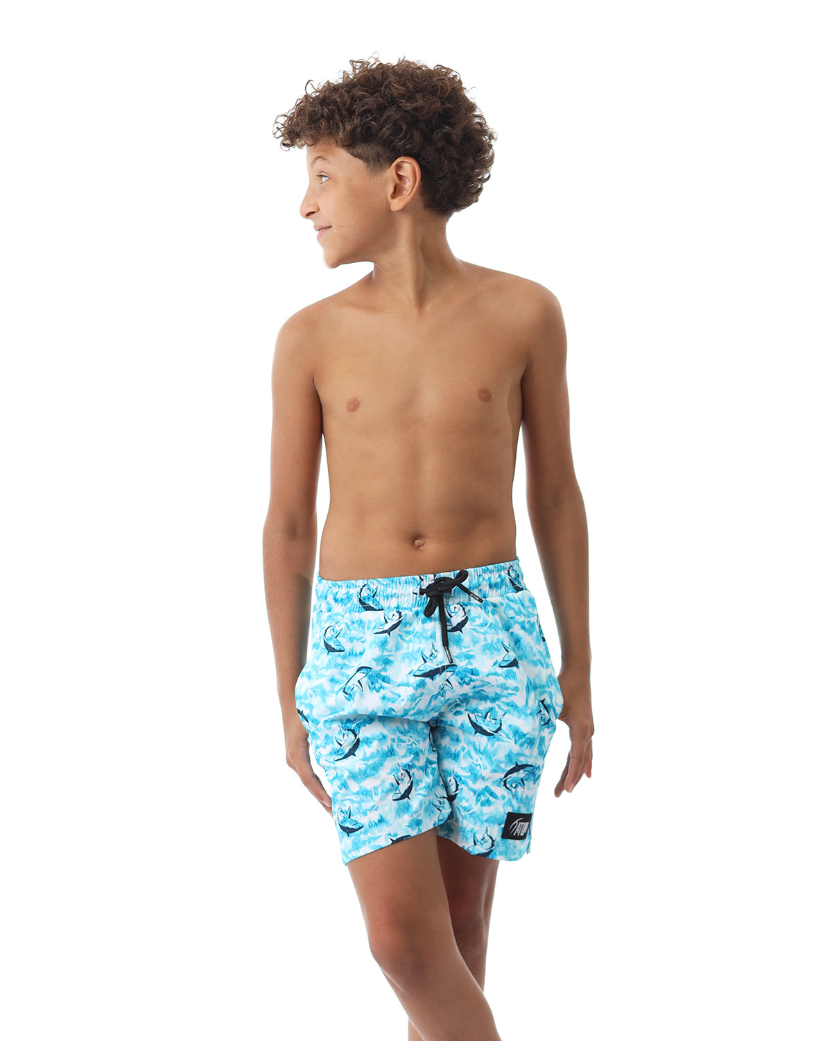 Shark Attack Boy's Aqua Swim Short-Atum -71437098